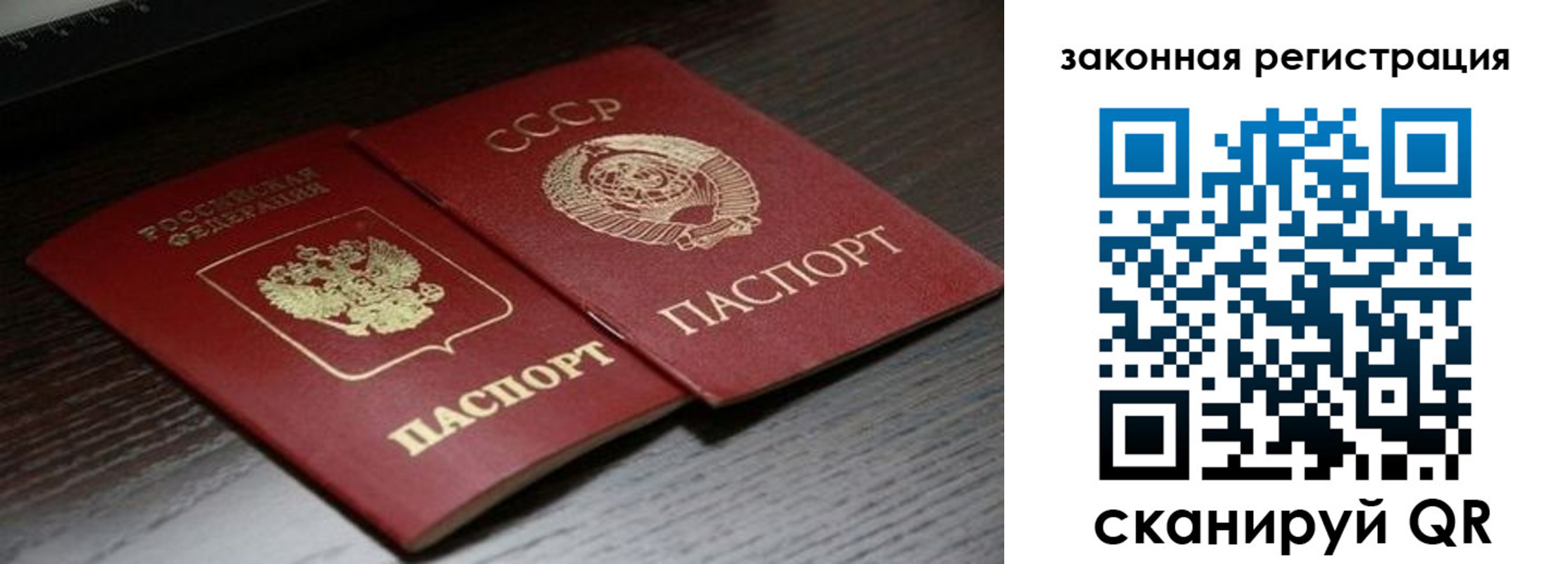 прописка поиск в Алагире